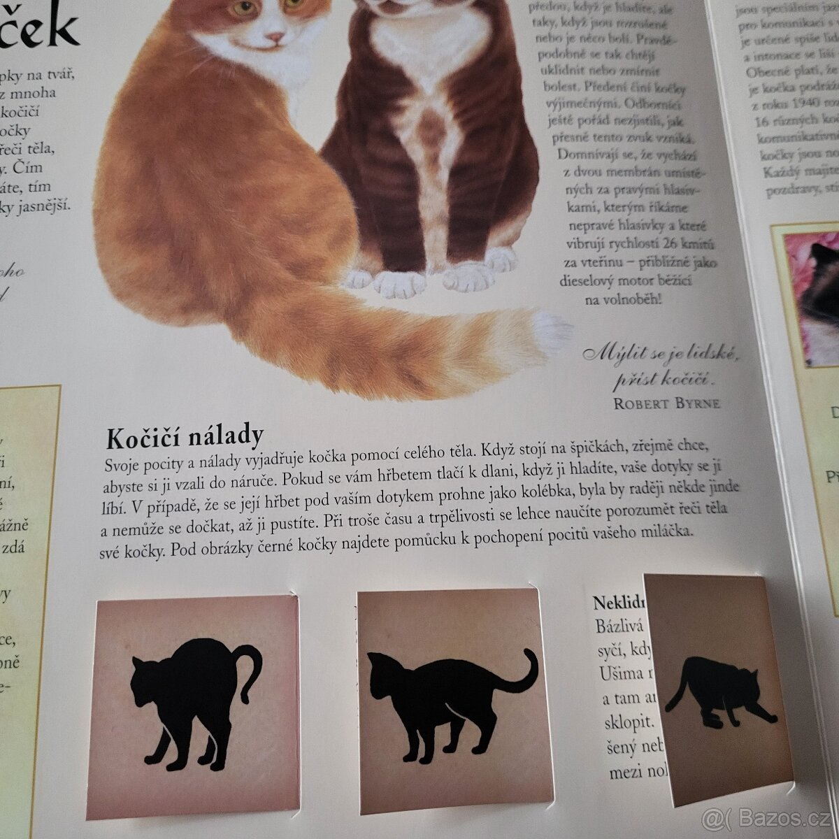 KOČKY pro děti - 9