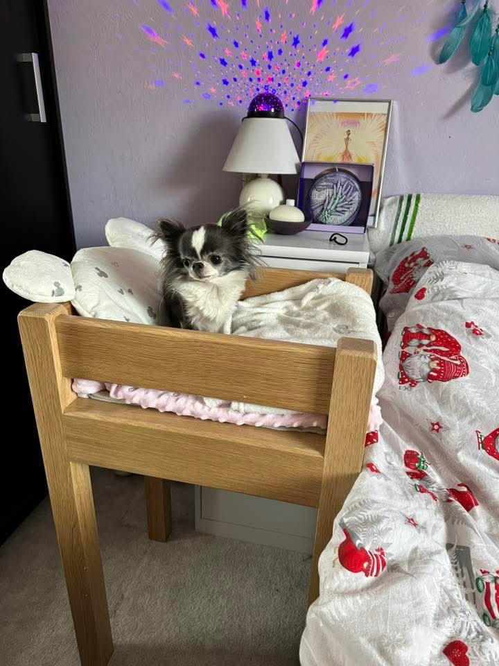 Pelech-pelíšek pro psa - 9