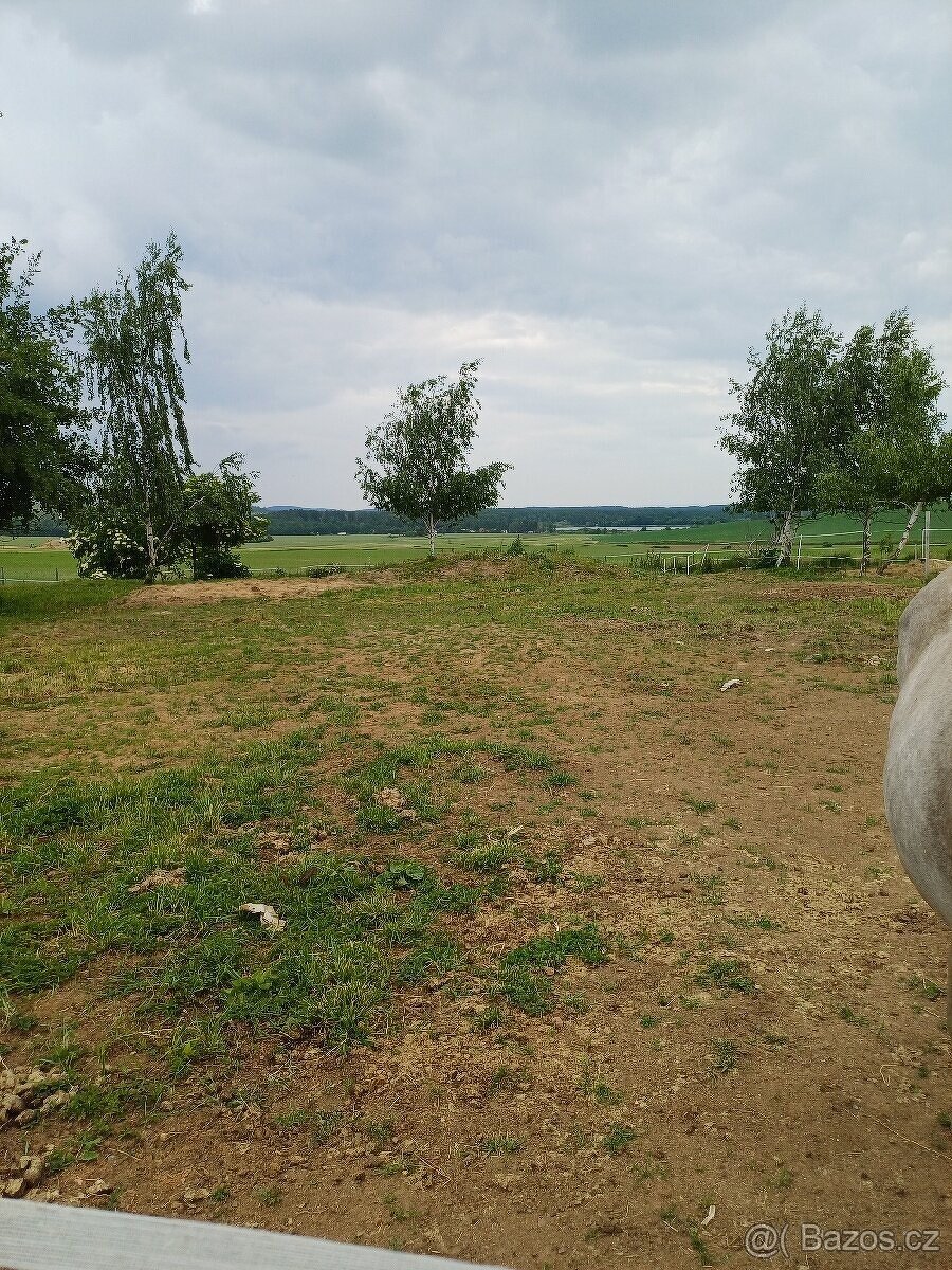 USTÁJENÍ 35 min od Prahy v malé rodinné stáji - 9