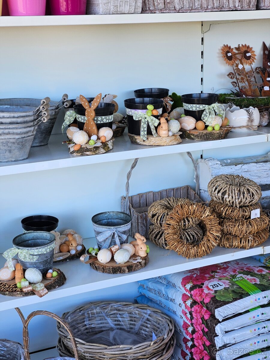 Jarní květiny, rostliny - 9