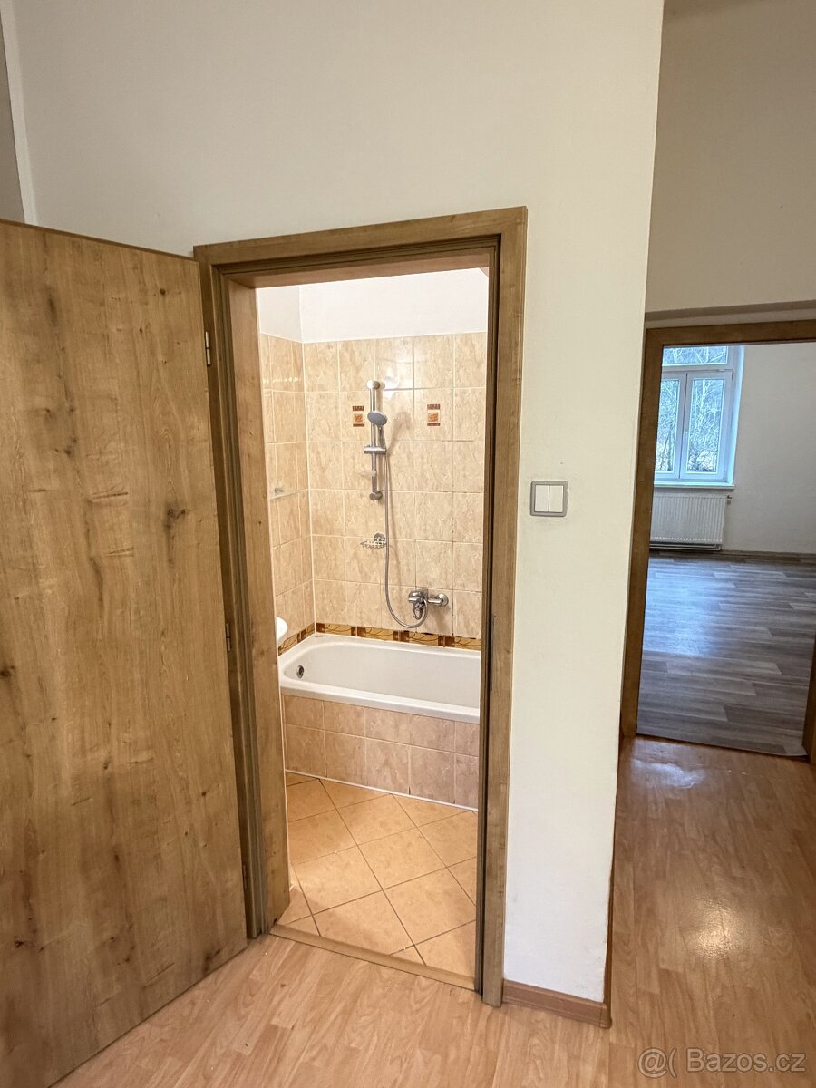 Pronájem bytu 2+1 Velké Meziříčí - Příkopy, 85m2 ihned - 9