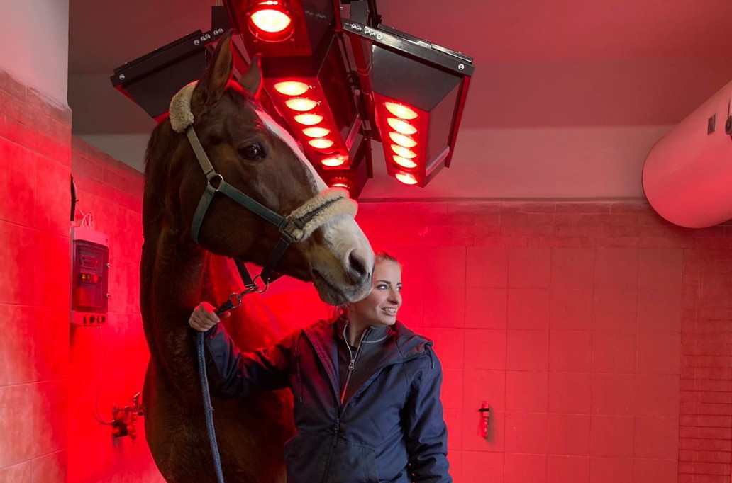 Potřeby pro koně - 9