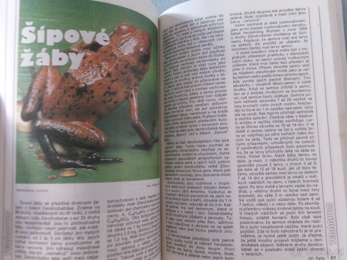 Magazín Akvárium terárium. - 9