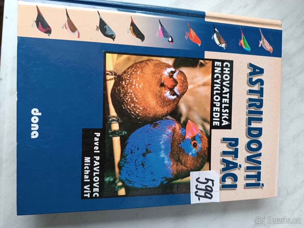 Ptáci dravci papoušci - 9