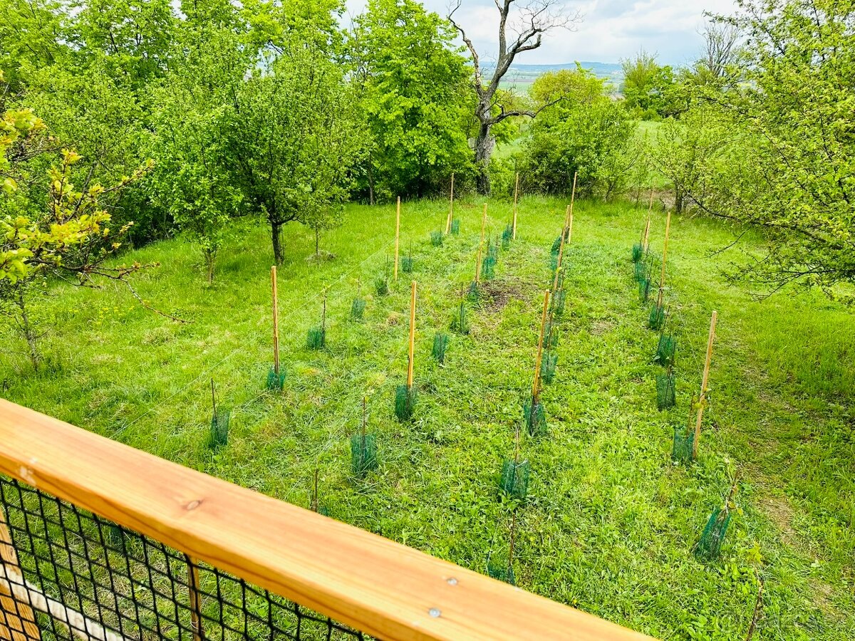 Prodej zahrady s dřevěným Tiny House - 9