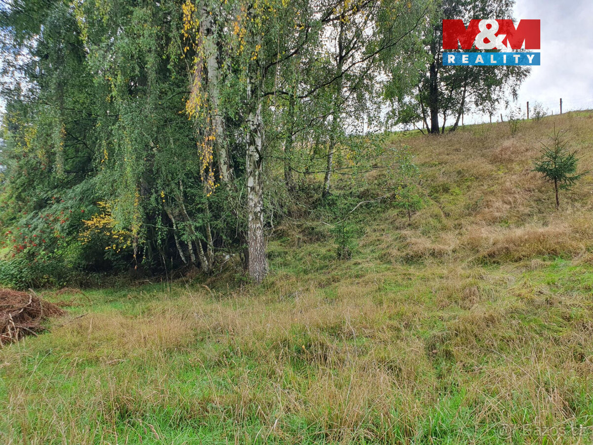 Prodej ostatní, 802 m², Pila - 9