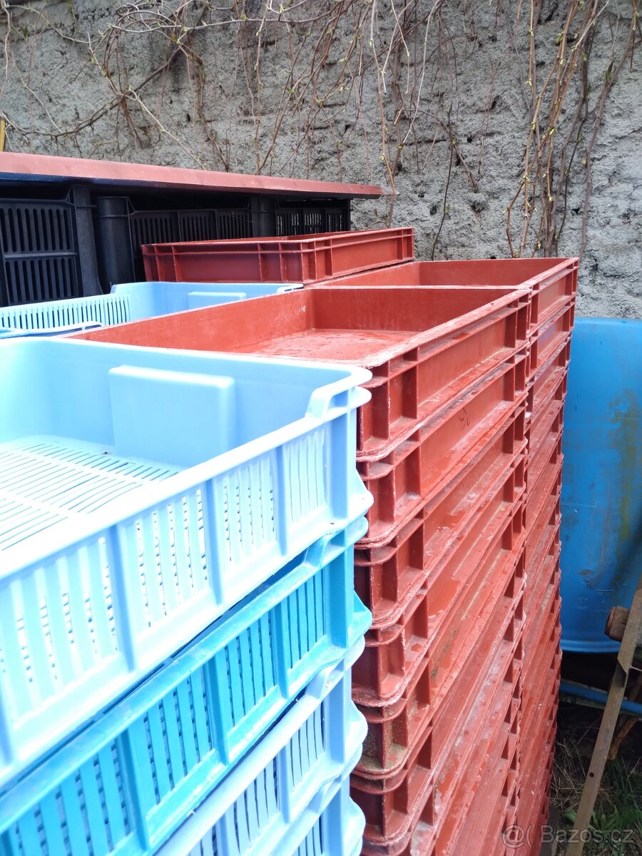 Plastové přepravky OZ ,nízké, barvené - 9