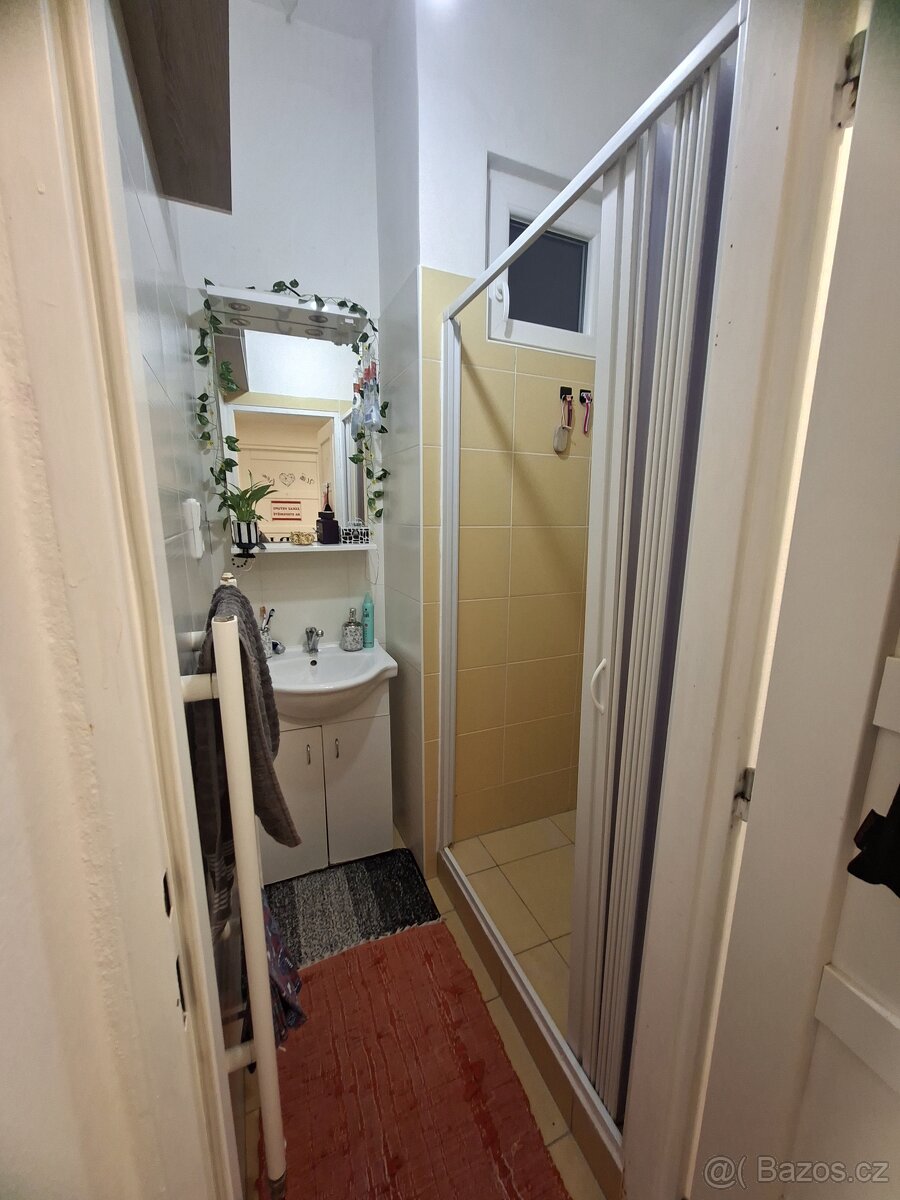 Pronájem 3+1 Olomouc - 9