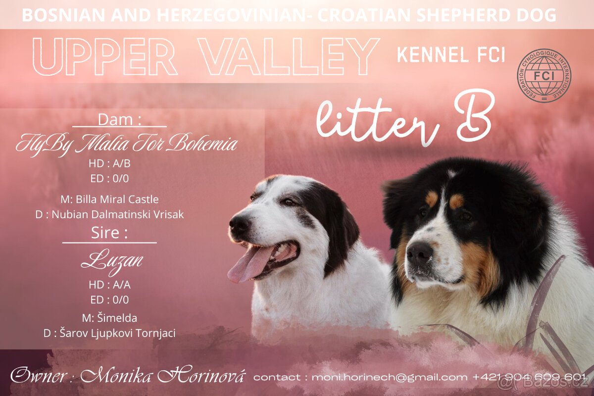 Šteniatko tornjaka s PP - 9