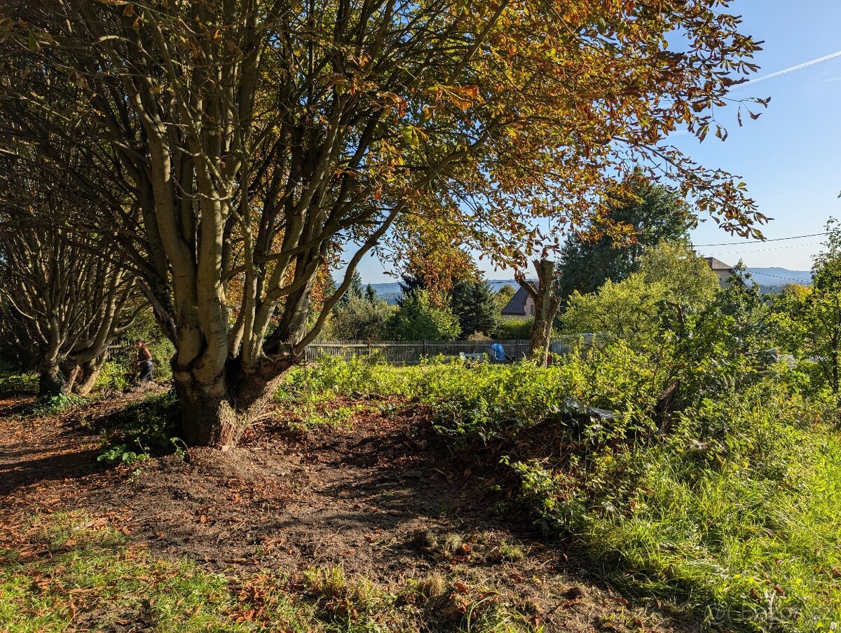 Stavební parcela Jenišovice 1293 m2 - 9