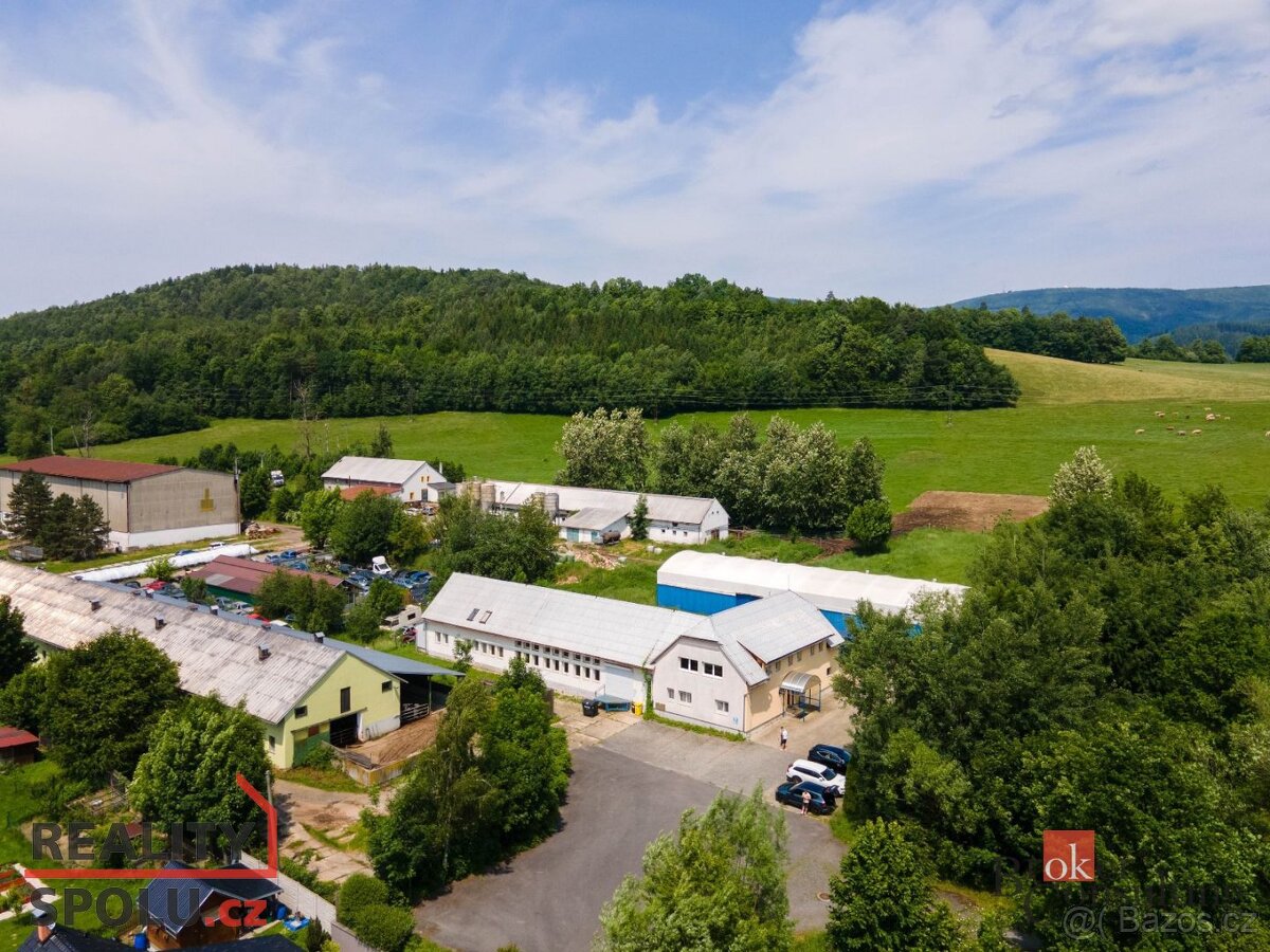 Pronájem, komerční/výroba, 780 m2, 75661 Vigantice, Vsetín [ - 9