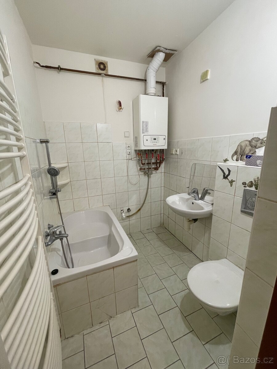 Pronájem bytu 2+1 Šternberk - 9