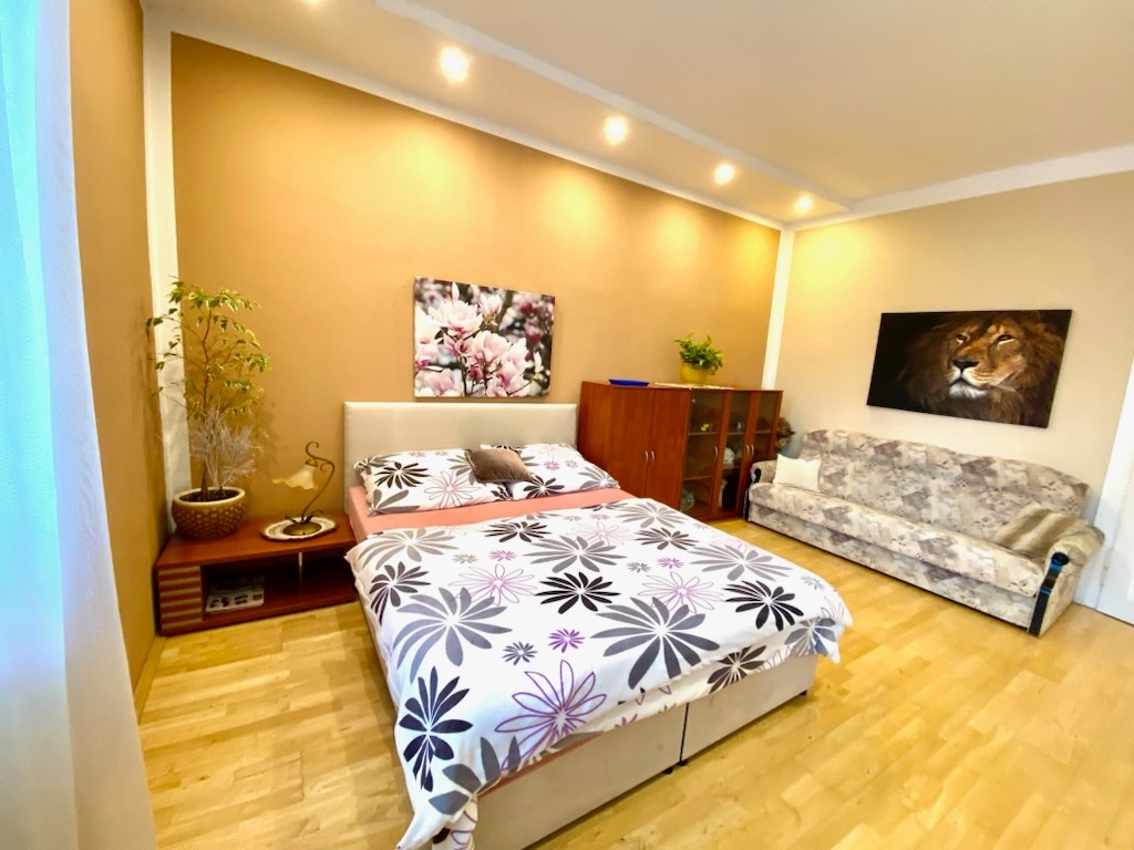 Pronájem bytu 1+kk, Náves Svobody, Olomouc - Holice - 9