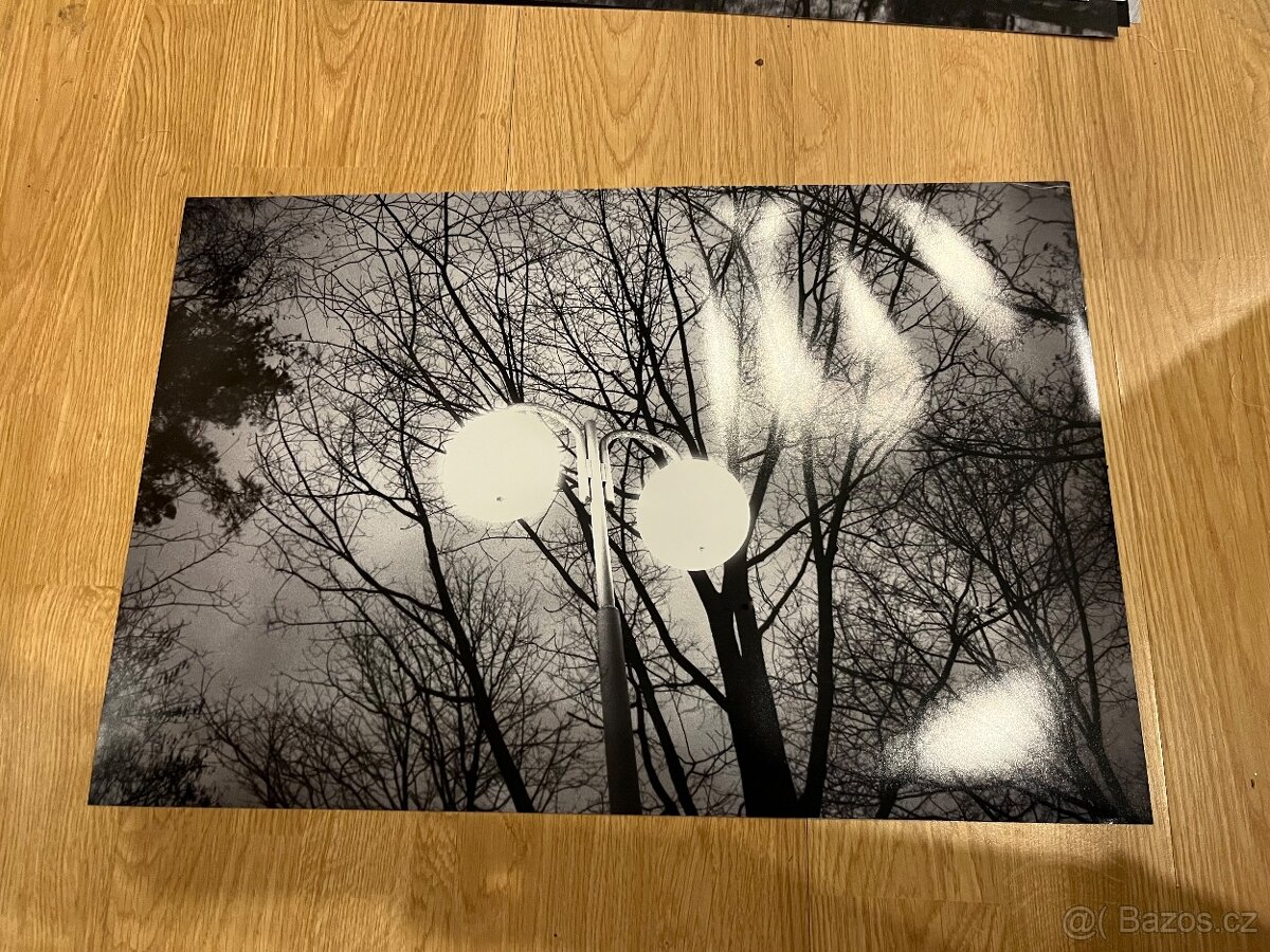 Fotografie černobílé - 9