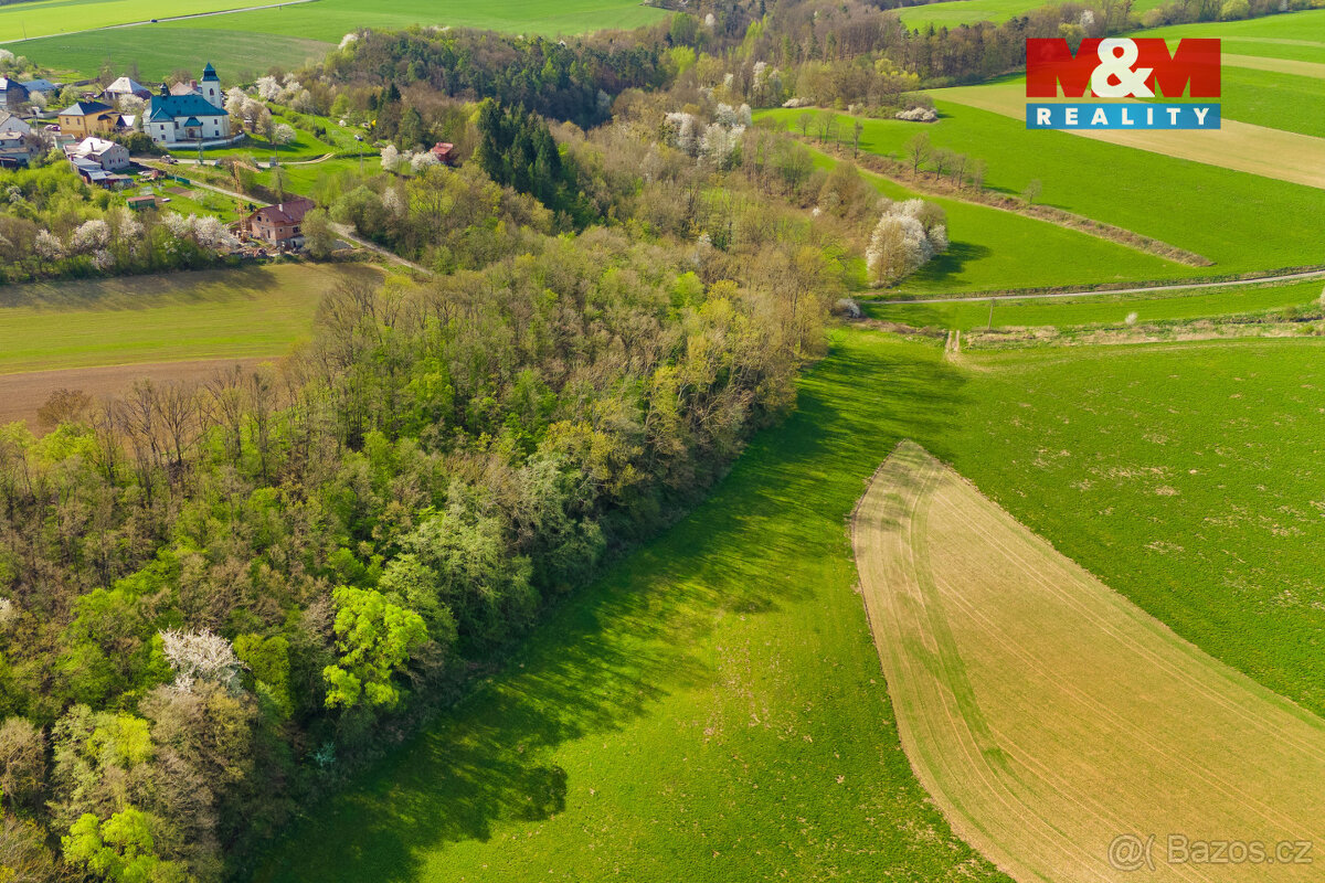 Prodej pole, 4100 m², Bílá Lhota - 9