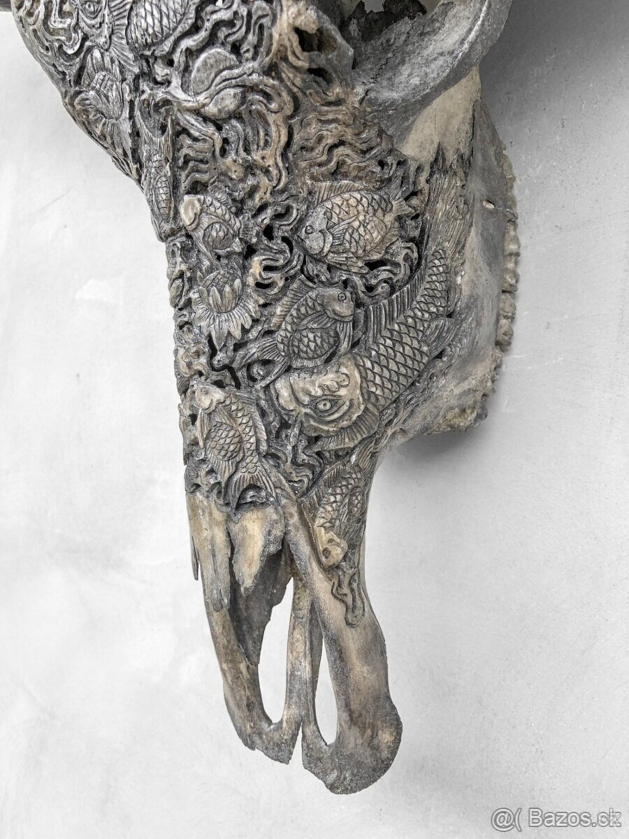 Ručně vyřezávaná velká lebka vodního buvola šedá, 79cm - 9