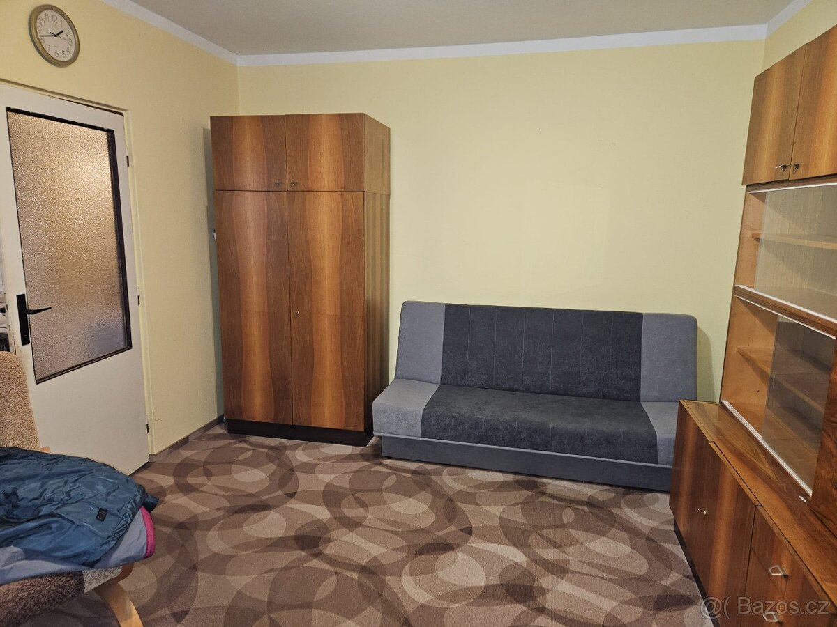 Pronájem bytu 1+1 Mariánské lázně - 9