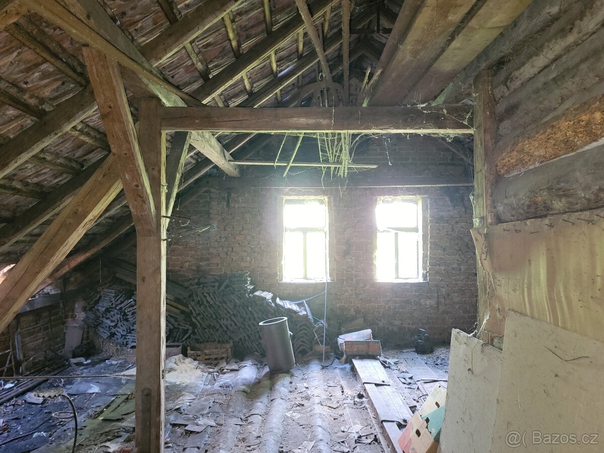 Prodej RD k bydlení i podnikání v Sopotnici - 9