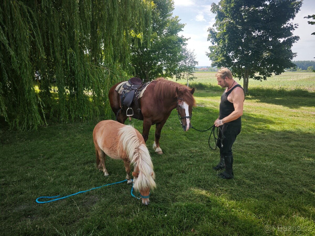 Chladnokrevný kůň - 9