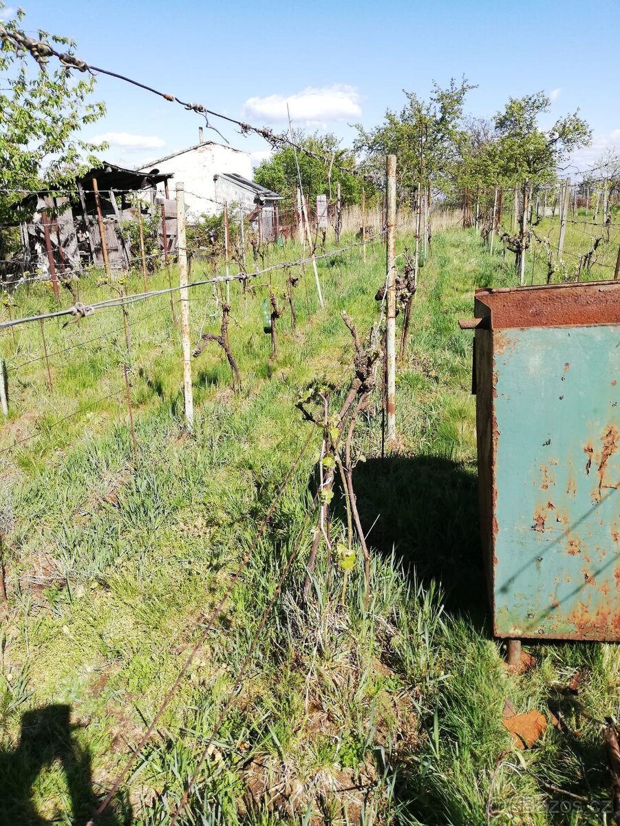 Prodej chaty s pozemkem - 9