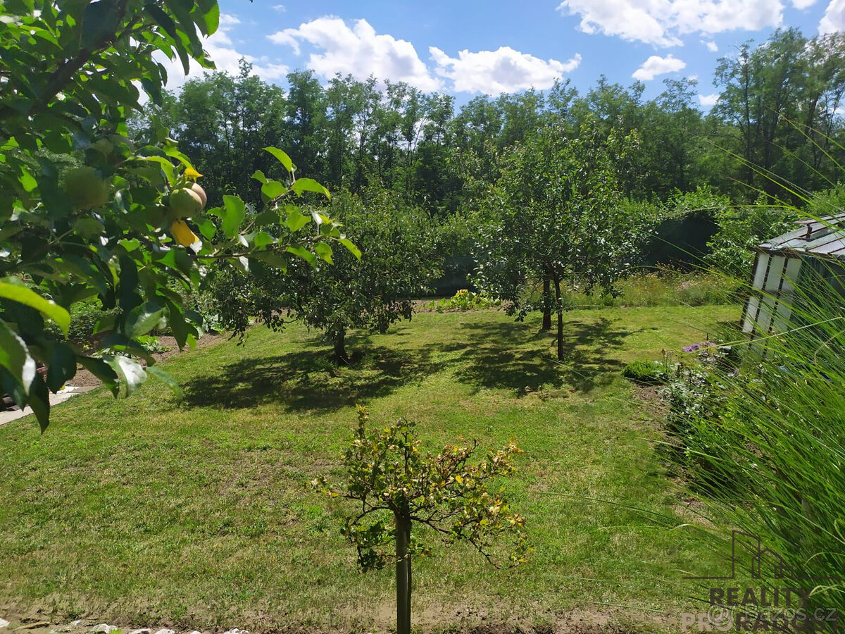Prodej zahrady 585 m2, Hodonín - 9
