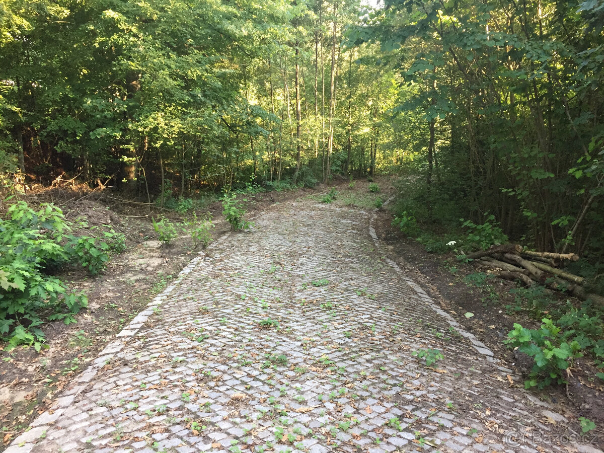 Luxusní bydlení s vlastním 5 m vodopádem - 9