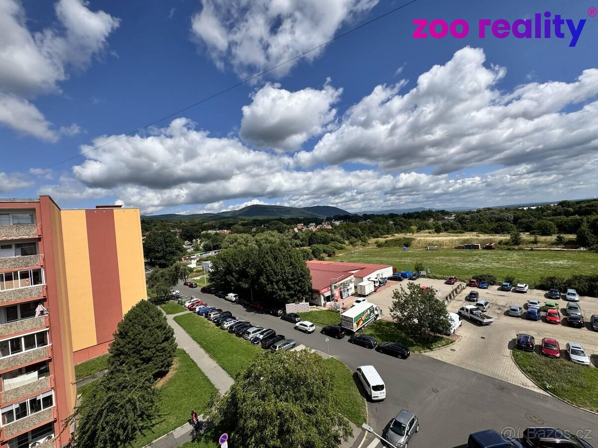 Prodej, byt 4+1, Jirkov, Tkalcovská ul. - 9