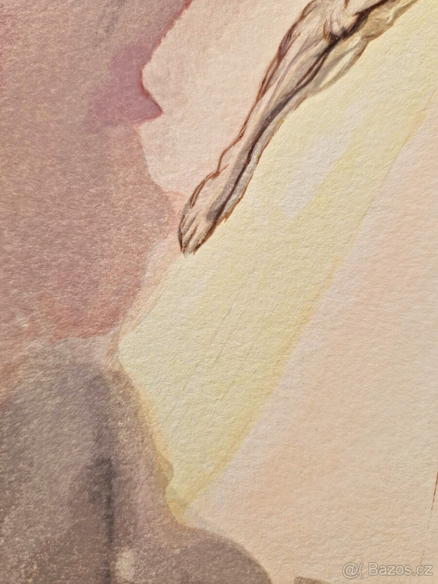 SALVADOR DALI - Zjavenie Krista (Dante - Božská komédia) - 9