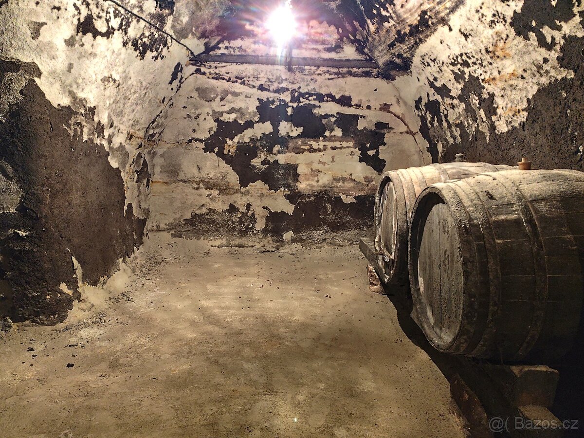 Pronájem, vinný sklep s lisovnou, Nový Šaldorf - 9