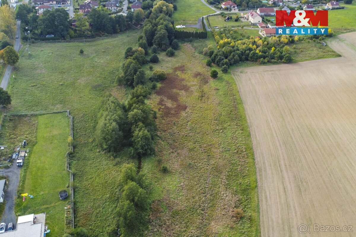 Prodej pozemku 8900 m2 v Žirovicích u Františkových Lázních - 9