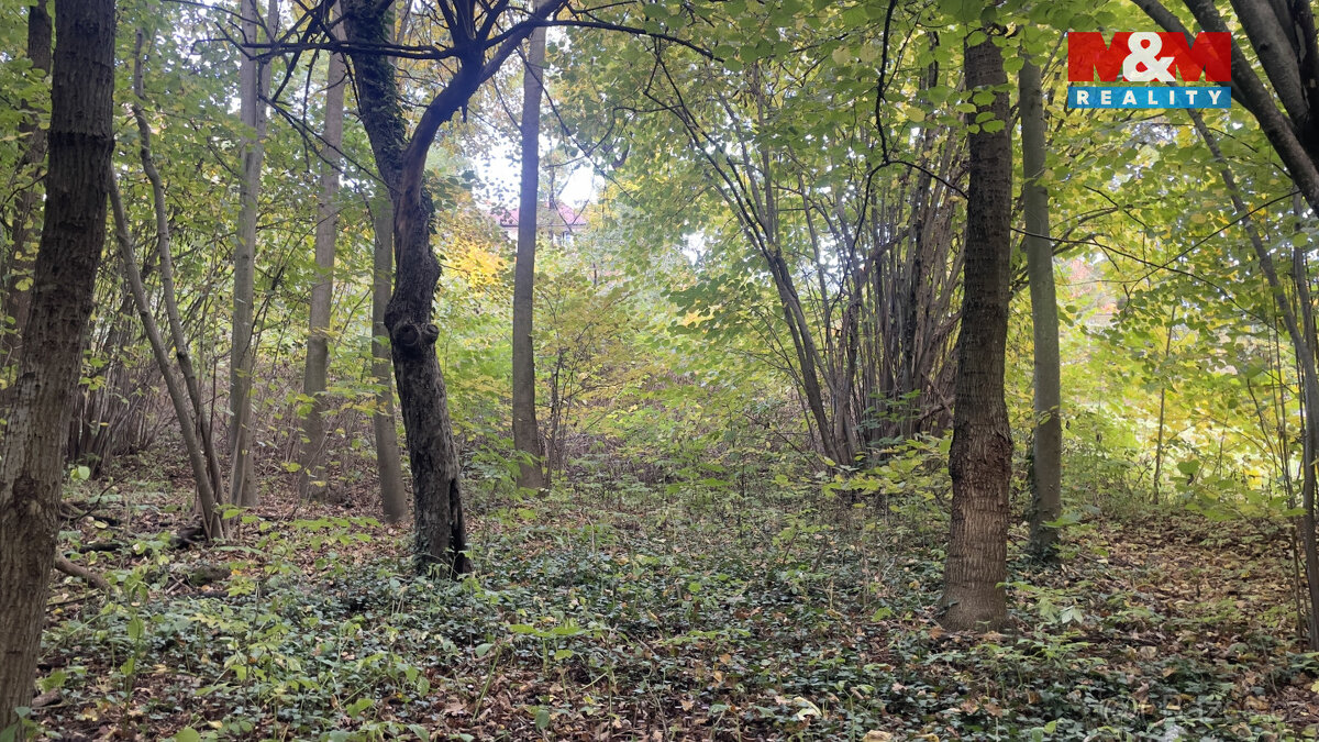 Prodej pozemku k bydlení, 1330 m², Tábor - 9