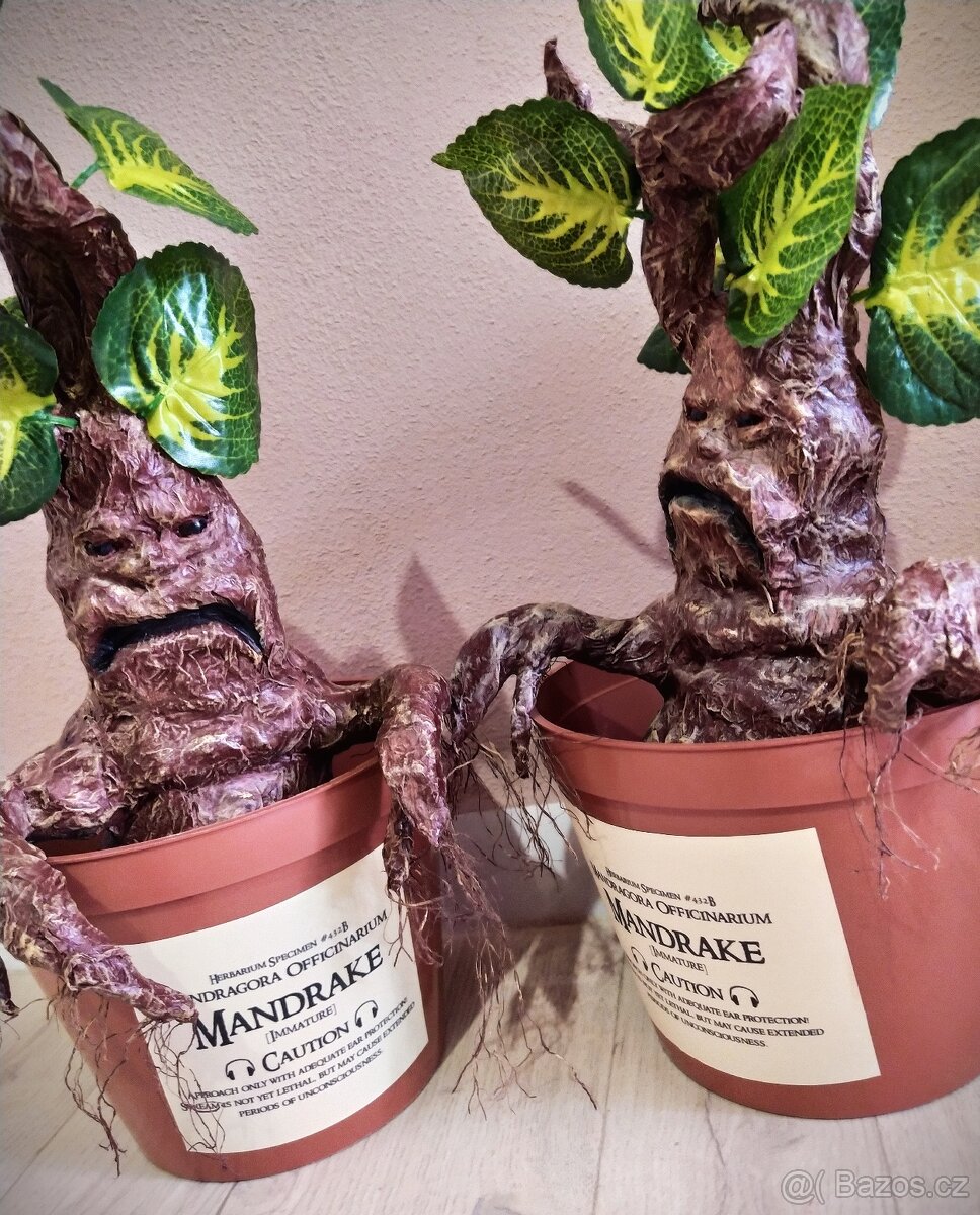 Mandragora Harry Potter - 9