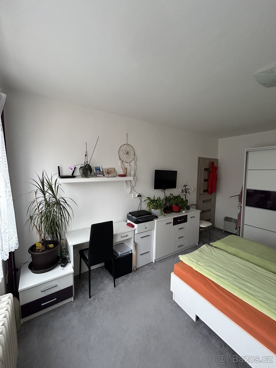 Pronájem zděného bytu 2+1 v OV, Svitavy - 9