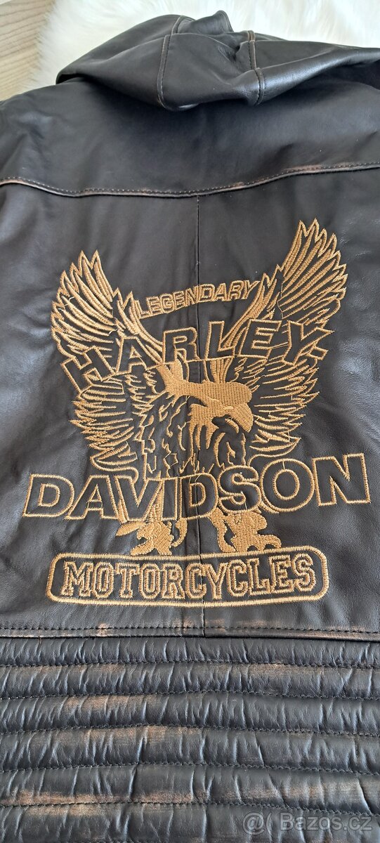 Harley Davidson bunda - 9