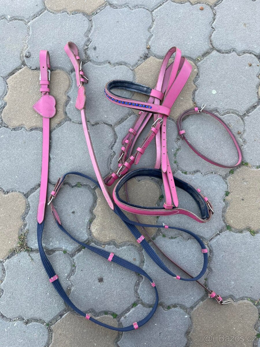 Anglická sedla, úklid sedlovny, levně - 9