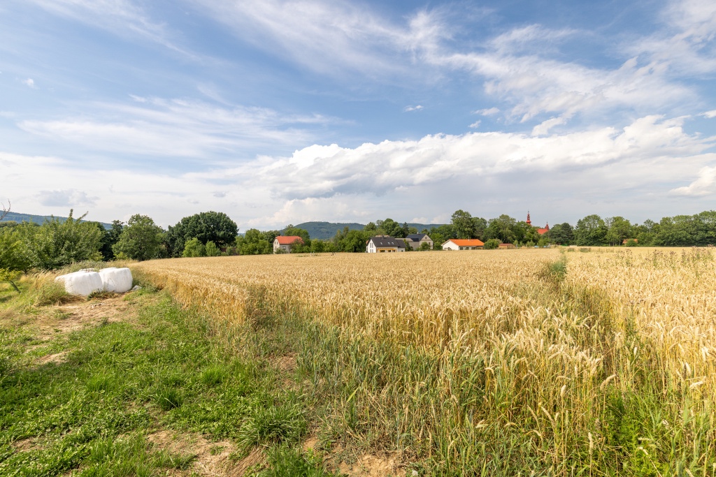Prodej stavební pozemek, Vražné - 9