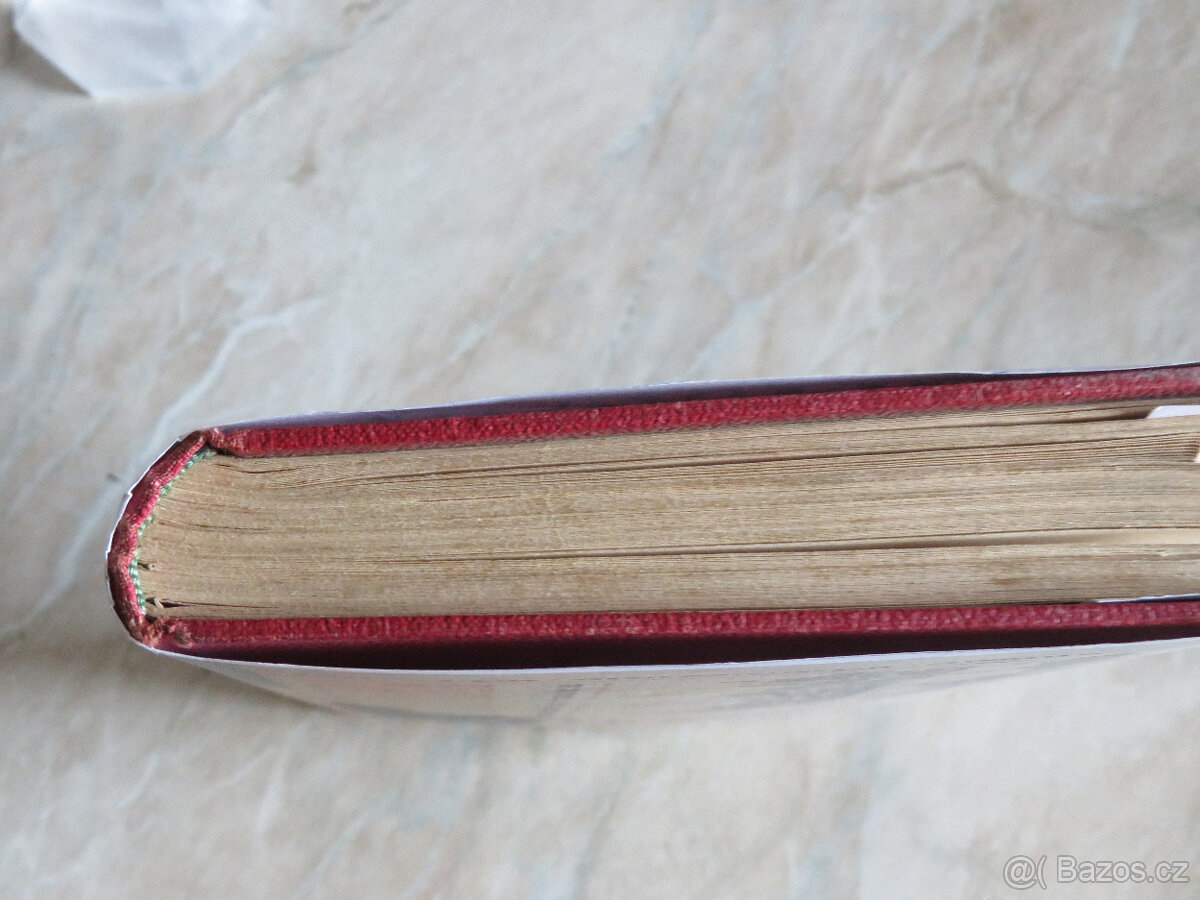 DOBRODRUŽNÉ,STOPAŘI PŘ.STRÁŽE 1939, il.BURIAN - 9