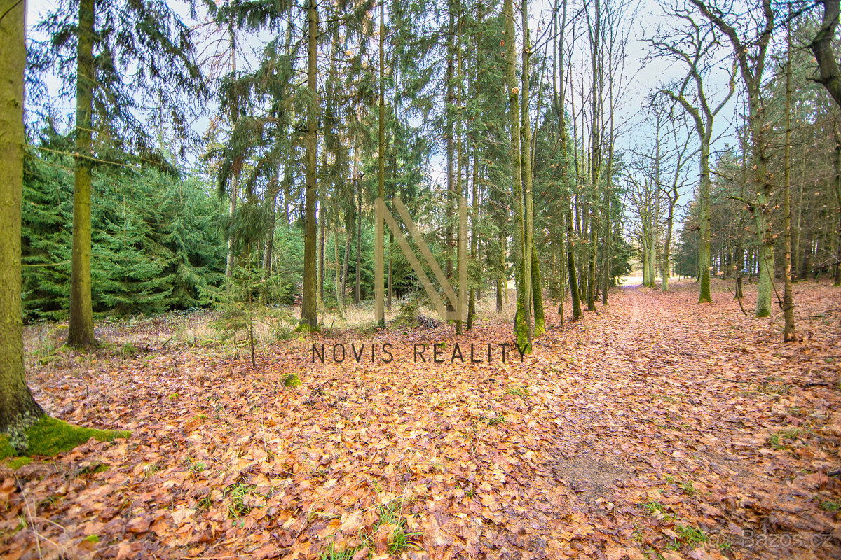 Prodej, les, 7475 m², Chudenice, Chudenický Žďár - 9