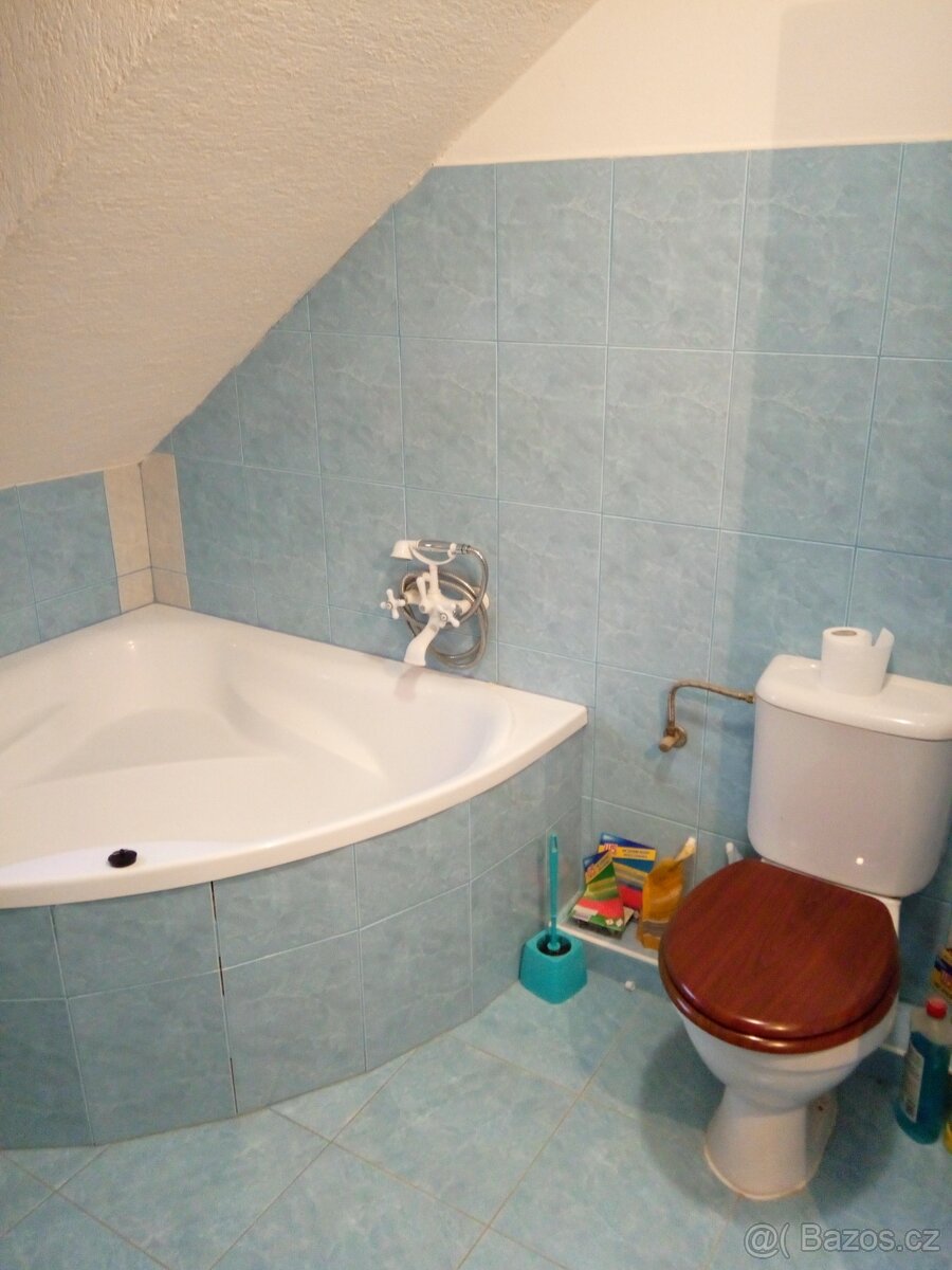 Sovinec- Krizov, pozemek 5697 m2-1066 m2 - 9