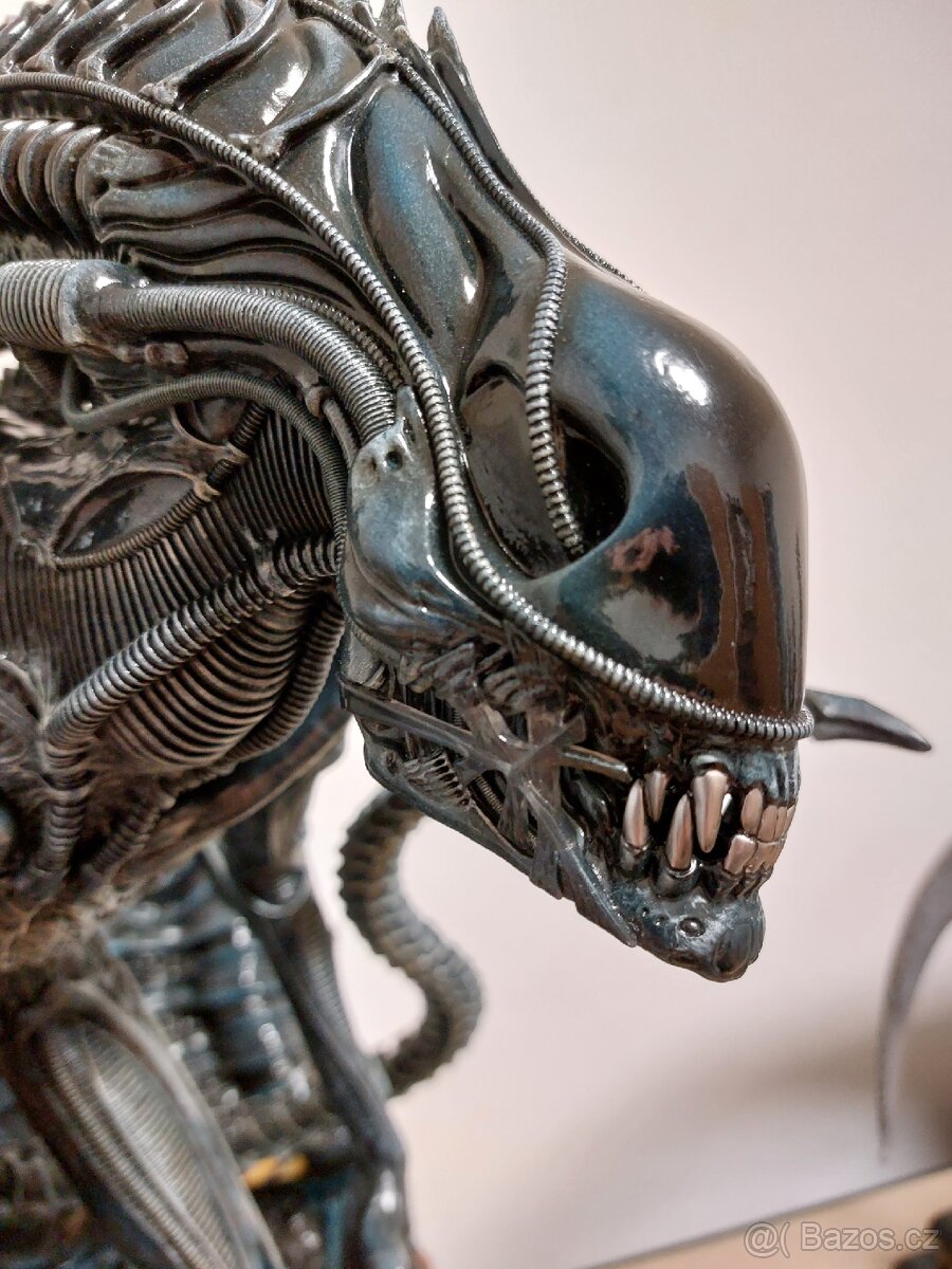 Alien Warrior Prime 1 Studio - 9