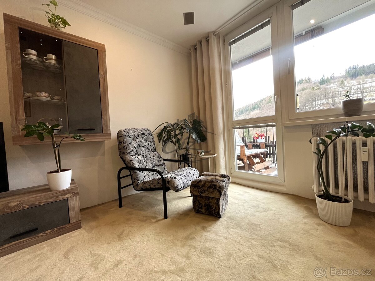 Byt 3+1 Dolní Jasenka - 9