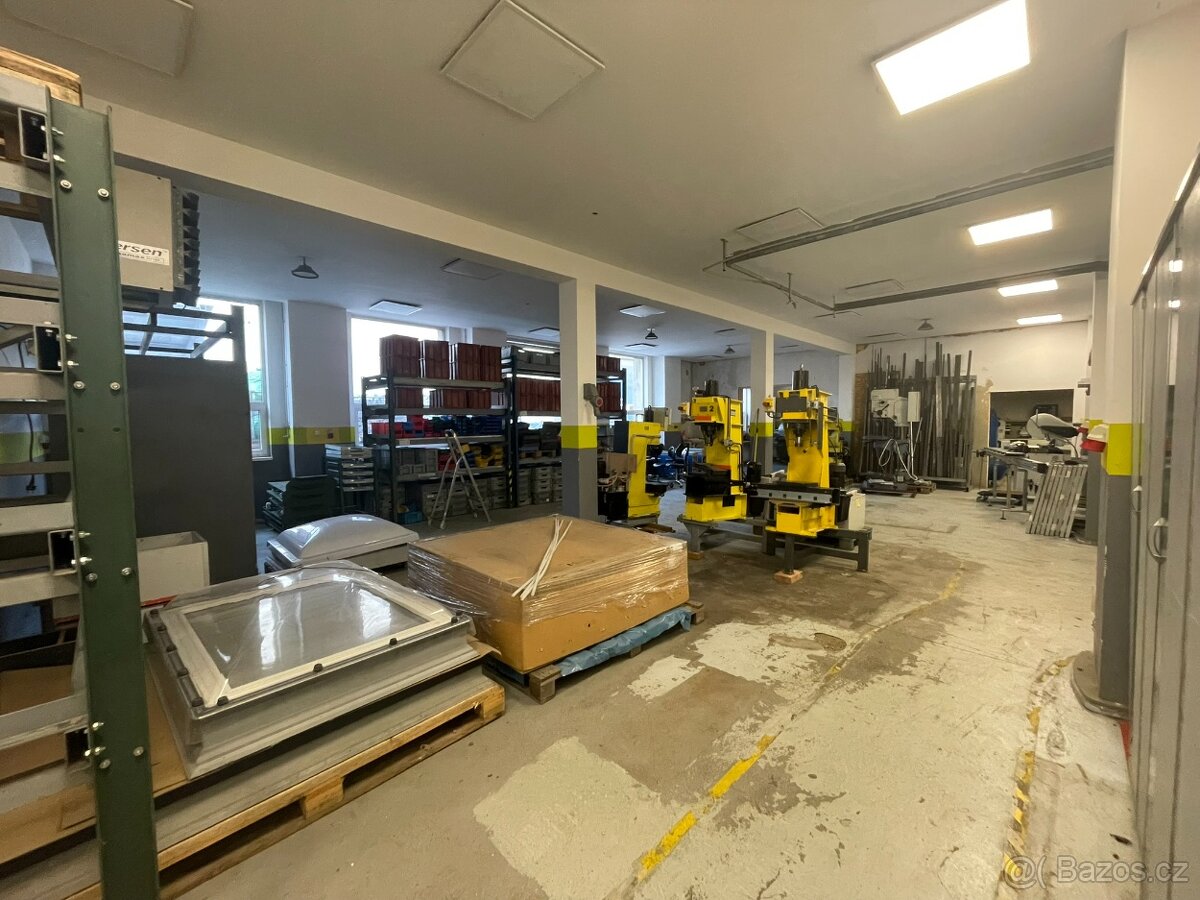 Pronájem komerční nemovitosti - 9