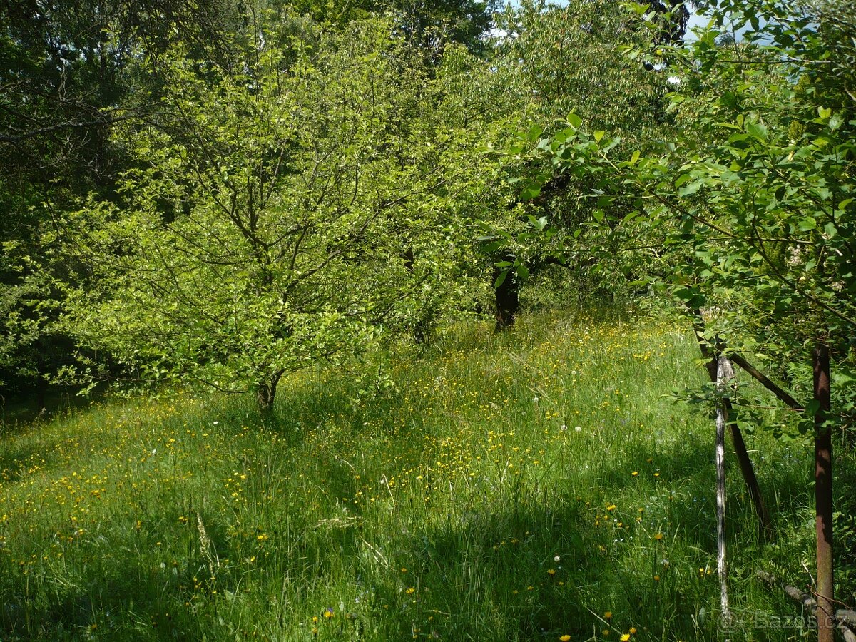 Chata 34m² se zahradou 5030m², Česká Třebová - 9