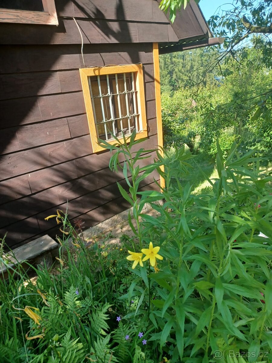 Prodej chaty Náchod 48m² s vlastnim pozemkem 432 m² - 9