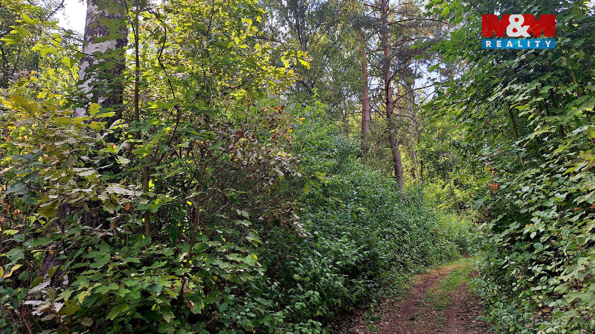 Prodej chaty a rekreační areál, 10875 m², Úštěk - 9