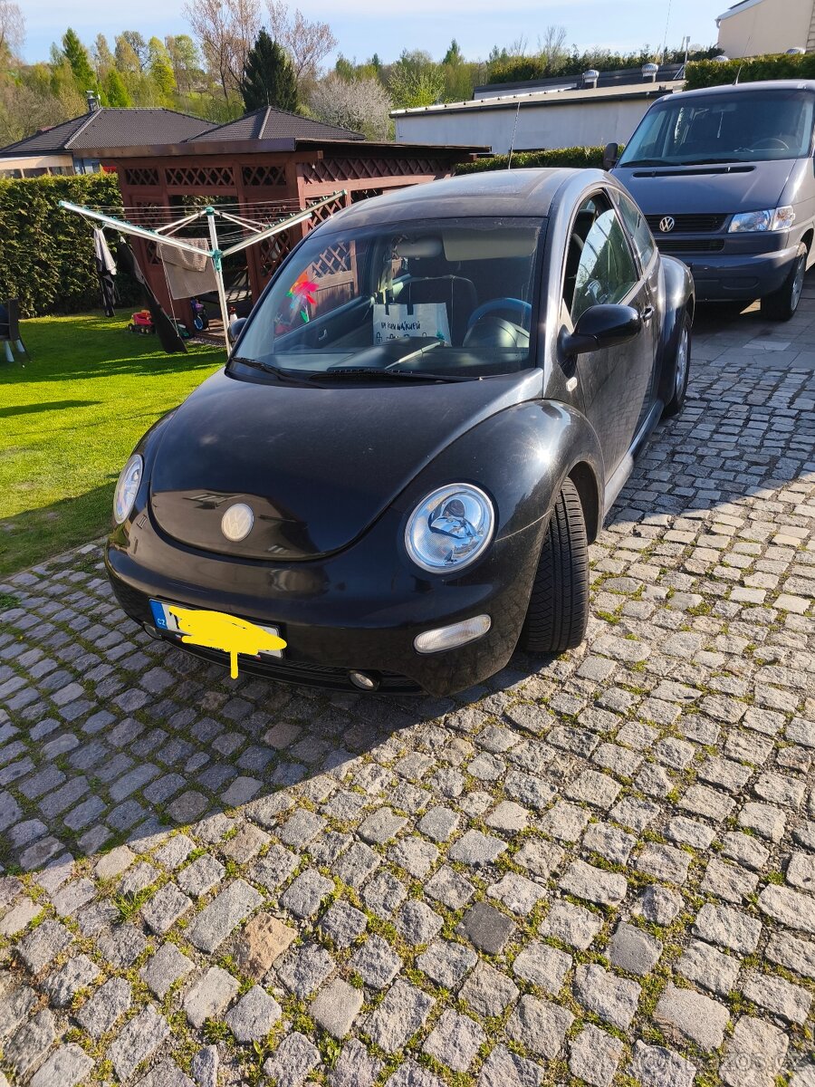 New Beetle - 9