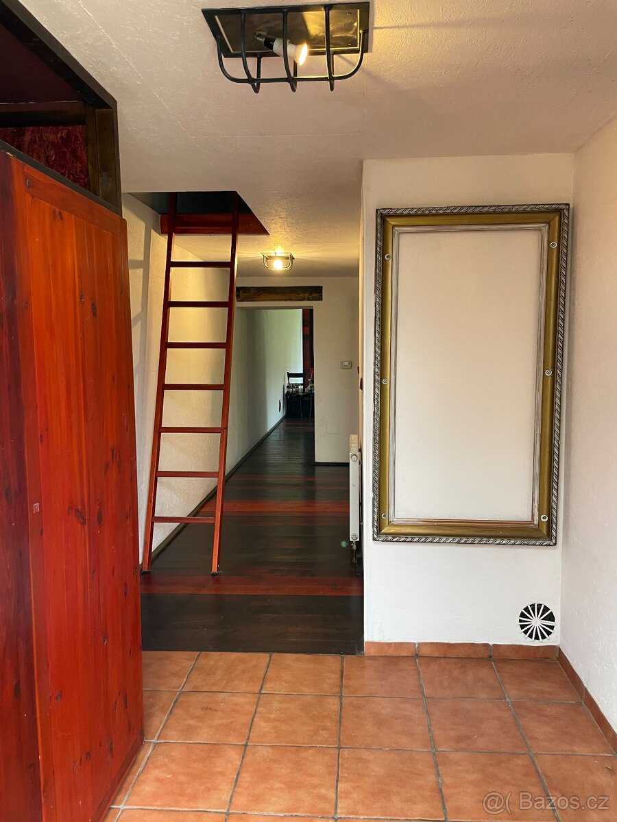 Pronájem nemovitosti - 9