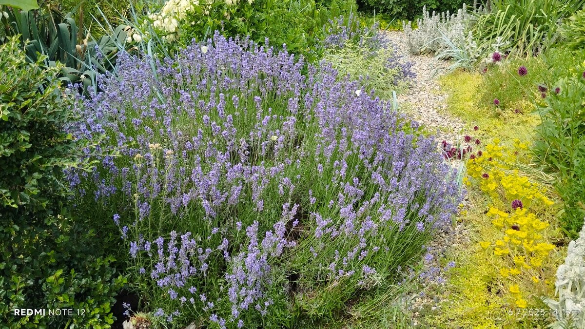 Prodej chaty se zahradou - 9