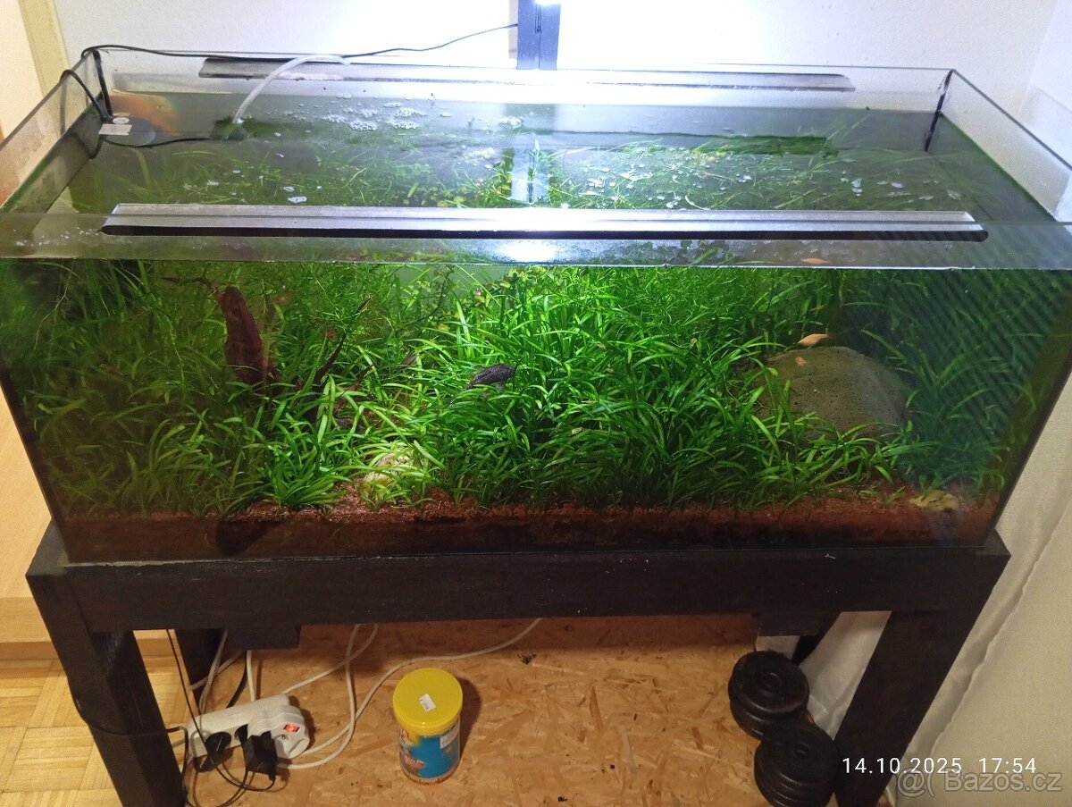 Prodám akvárium 160 l - 9