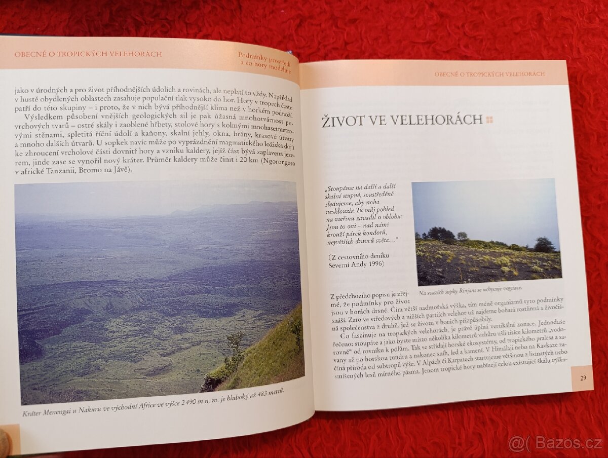 PŘES PRALESY K LEDOVCŮM - 9